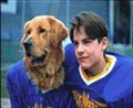 Air Bud: Golden Receiver - Photo Gallery