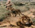 To Walk With Lions - Photo Gallery