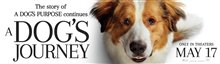 A Dog's Journey - Photo Gallery