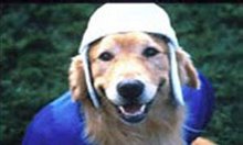 Air Bud: Golden Receiver - Photo Gallery