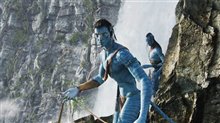 Avatar - Photo Gallery