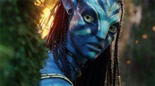 Avatar - Photo Gallery