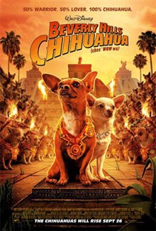Beverly Hills Chihuahua - Photo Gallery
