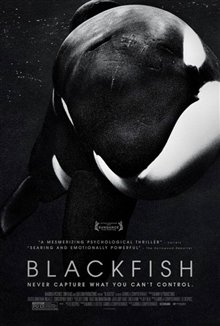 Blackfish - Photo Gallery