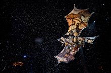 Cirque du Soleil: Worlds Away 3D - Photo Gallery