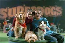 Daniel and the Superdogs - Photo Gallery