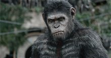 Dawn of the Planet of the Apes 3D - Photo Gallery
