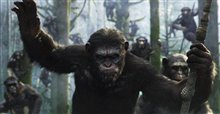 Dawn of the Planet of the Apes - Photo Gallery