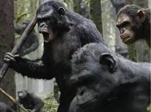 Dawn of the Planet of the Apes - Photo Gallery
