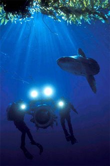 Deep Sea 3D - Photo Gallery