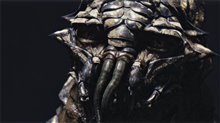District 9 - Photo Gallery