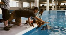 Dolphin Tale 3D - Photo Gallery