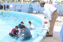 Dolphin Tale - Photo Gallery