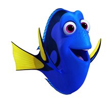 Finding Dory - Photo Gallery