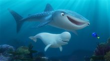 Finding Dory - Photo Gallery
