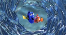 Finding Nemo 3D - Photo Gallery