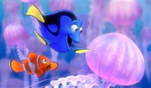 Finding Nemo - Photo Gallery
