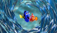 Finding Nemo - Photo Gallery