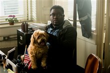 Get Out - Photo Gallery