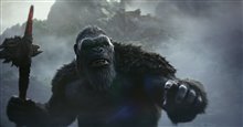 Godzilla x Kong: The New Empire - Photo Gallery