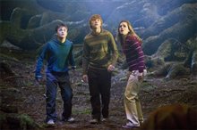 Harry Potter and the Order of the Phoenix - Photo Gallery