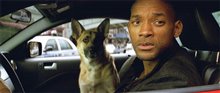 I Am Legend: The IMAX Experience - Photo Gallery