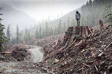 If a Tree Falls: A Story of the Earth Liberation Front - Photo Gallery