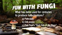 Know Your Mushrooms - Photo Gallery