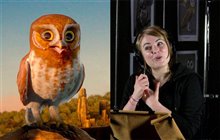 Legend of the Guardians: The Owls of Ga'Hoole - An IMAX 3D Experience - Photo Gallery