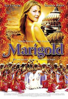 Marigold - Photo Gallery