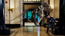 Night at the Museum - Photo Gallery