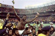 Once in a Lifetime: The Extraordinary Story of the New York Cosmos - Photo Gallery