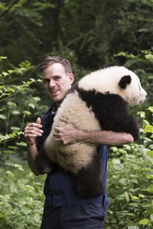 Pandas: The IMAX Experience - Photo Gallery