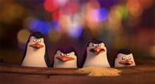 Penguins of Madagascar 3D - Photo Gallery