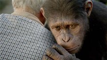 Rise of the Planet of the Apes - Photo Gallery