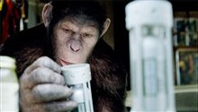 Rise of the Planet of the Apes - Photo Gallery