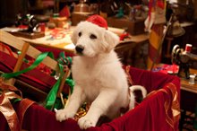 Santa Paws 2: The Santa Pups - Photo Gallery
