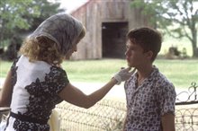Secondhand Lions - Photo Gallery