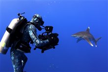 Sharkwater Extinction - Photo Gallery