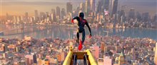 Spider-Man: Into the Spider-Verse - Photo Gallery