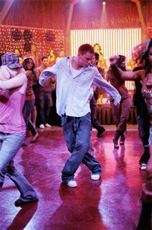 Step Up - Photo Gallery