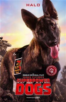Superpower Dogs - Photo Gallery