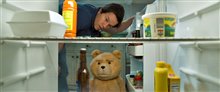 Ted 2 - Photo Gallery