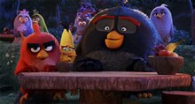 The Angry Birds Movie - Photo Gallery