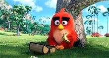 The Angry Birds Movie 3D - Photo Gallery