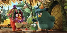 The Angry Birds Movie 3D - Photo Gallery