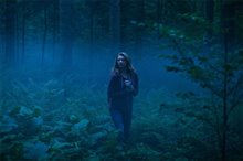 The Forest - Photo Gallery