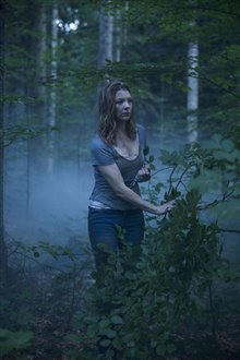 The Forest - Photo Gallery