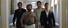 The Hangover - Photo Gallery