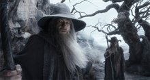 The Hobbit: The Desolation of Smaug - An IMAX 3D Experience - Photo Gallery